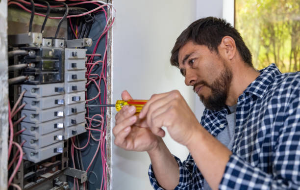 Best Electric Panel Repair  in Le Mars, IA